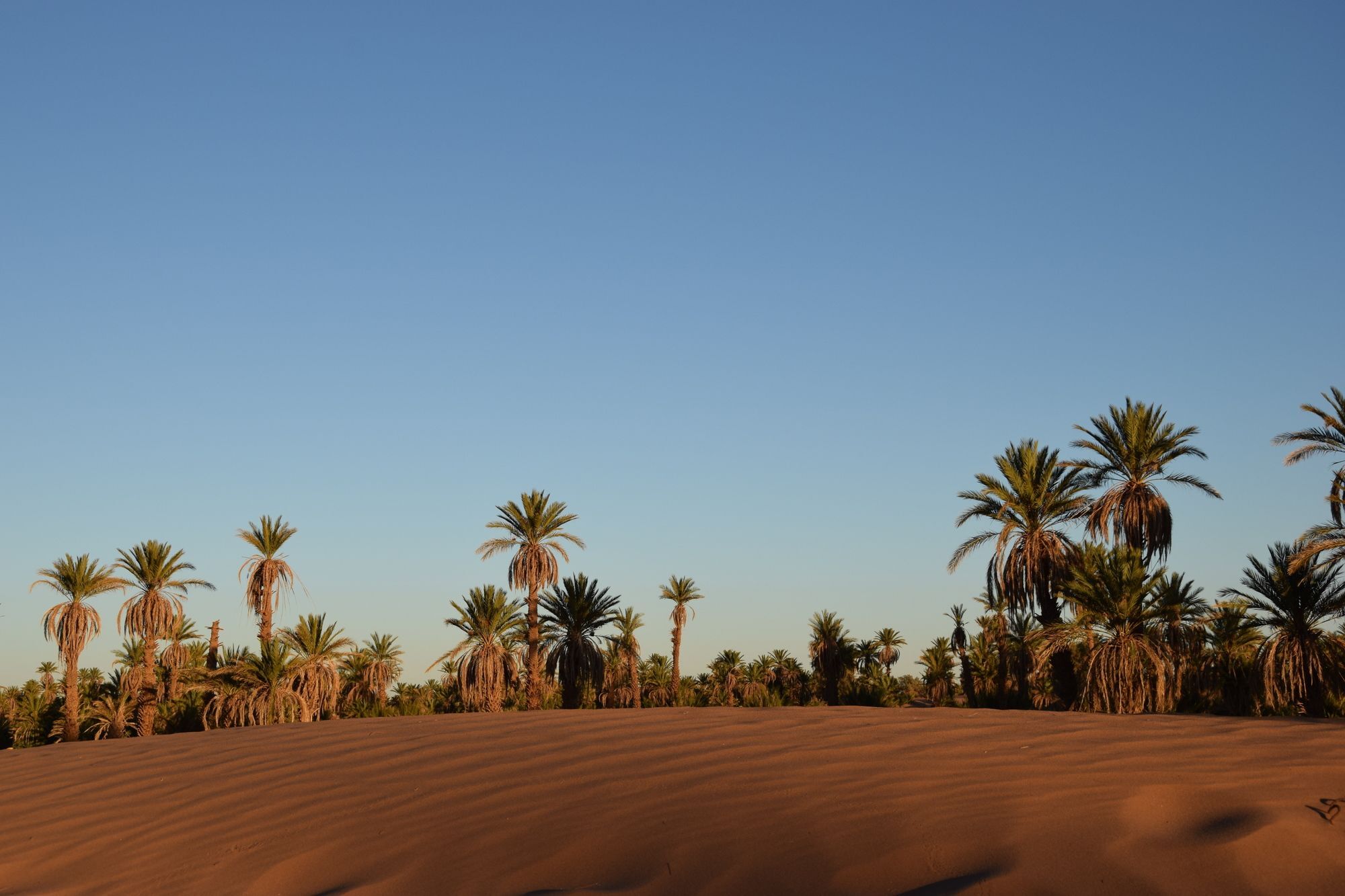 Carrefour Des Nomades Hotel Oulad Driss Kültér fotó